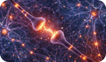 Complete Brain Support