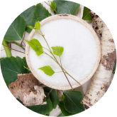 Xylitol ingredient in Phytomem One